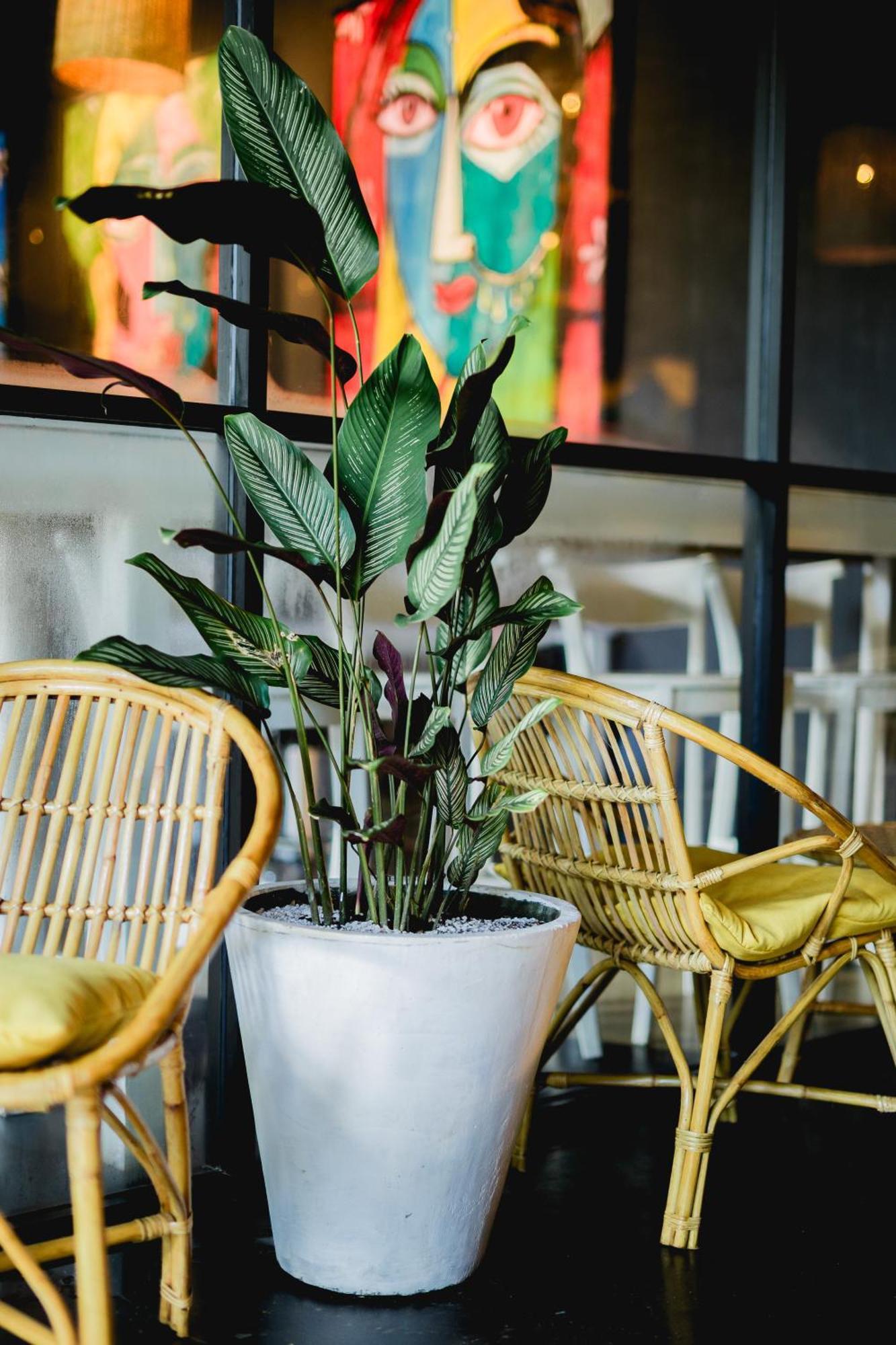 Sugar Hostel Weligama - Coliving & Coworking 외부 사진